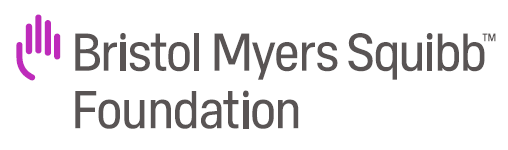 BMSF Logo